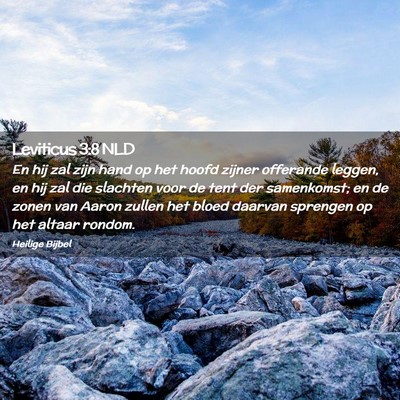 Picture 02 - Leviticus 3:8 NLD - En hij zal zijn hand op het hoofd zijner - Bible Verse Picture