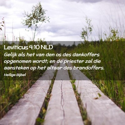 Picture 02 - Leviticus 4:10 NLD - Gelijk als het van den os des dankoffers - Bible Verse Picture