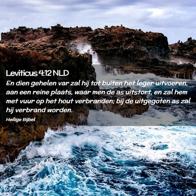 Picture 02 - Leviticus 4:12 NLD - En dien gehelen var zal hij tot buiten het leger - Bible Verse Picture