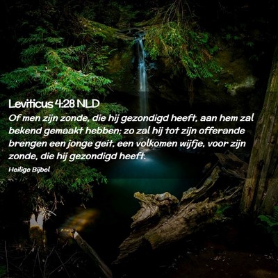 Picture 02 - Leviticus 4:28 NLD - Of men zijn zonde, die hij gezondigd heeft, aan - Bible Verse Picture