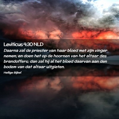 Picture 02 - Leviticus 4:30 NLD - Daarna zal de priester van haar bloed met zijn - Bible Verse Picture