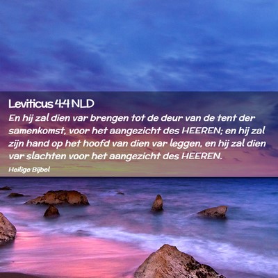 Picture 02 - Leviticus 4:4 NLD - En hij zal dien var brengen tot de deur van de - Bible Verse Picture