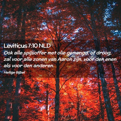 Picture 02 - Leviticus 7:10 NLD - Ook alle spijsoffer met olie gemengd, of droog, - Bible Verse Picture
