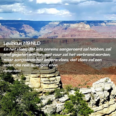 Picture 02 - Leviticus 7:19 NLD - En het vlees, dat iets onreins aangeroerd zal - Bible Verse Picture