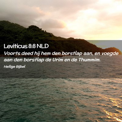 Picture 02 - Leviticus 8:8 NLD - Voorts deed hij hem den borstlap aan, en voegde - Bible Verse Picture