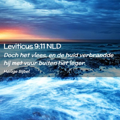 Picture 02 - Leviticus 9:11 NLD - Doch het vlees, en de huid verbrandde hij met - Bible Verse Picture