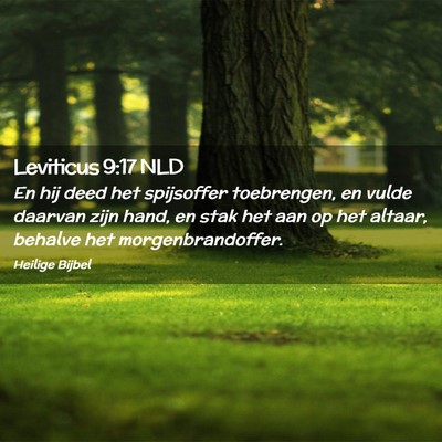Picture 02 - Leviticus 9:17 NLD - En hij deed het spijsoffer toebrengen, en vulde - Bible Verse Picture