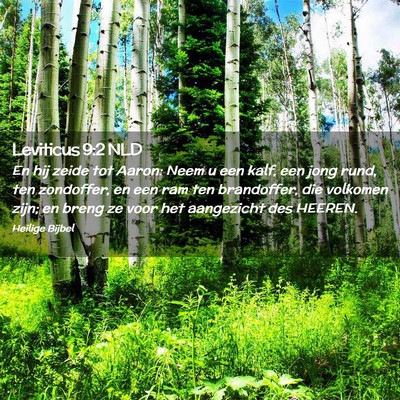 Picture 02 - Leviticus 9:2 NLD - En hij zeide tot Aaron: Neem u een kalf, een jong - Bible Verse Picture