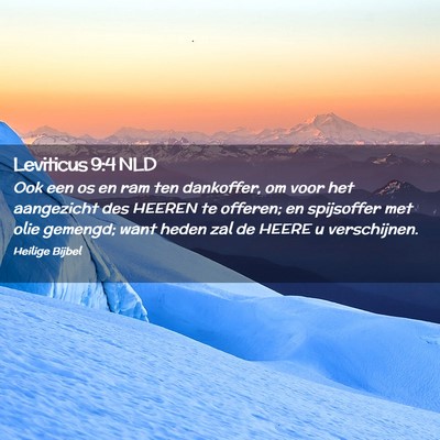 Picture 02 - Leviticus 9:4 NLD - Ook een os en ram ten dankoffer, om voor het - Bible Verse Picture