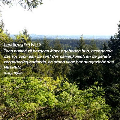 Picture 02 - Leviticus 9:5 NLD - Toen namen zij hetgeen Mozes geboden had, - Bible Verse Picture