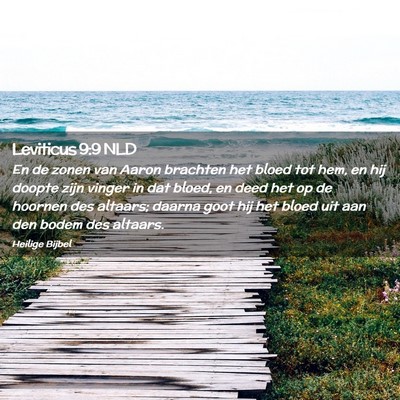 Picture 02 - Leviticus 9:9 NLD - En de zonen van Aaron brachten het bloed tot hem, - Bible Verse Picture