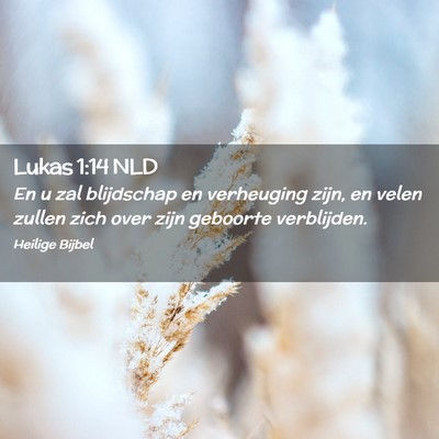 Picture 02 - Lukas 1:14 NLD - En u zal blijdschap en verheuging zijn, en velen - Bible Verse Picture