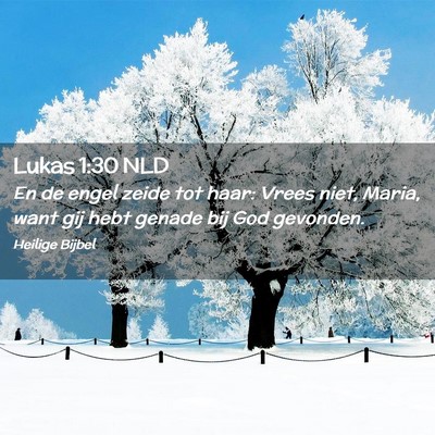 Picture 02 - Lukas 1:30 NLD - En de engel zeide tot haar: Vrees niet, Maria, - Bible Verse Picture