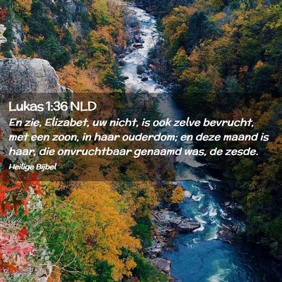 Picture 02 - Lukas 1:36 NLD - En zie, Elizabet, uw nicht, is ook zelve - Bible Verse Picture