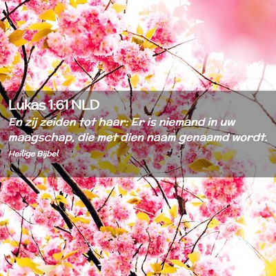 Picture 02 - Lukas 1:61 NLD - En zij zeiden tot haar: Er is niemand in uw - Bible Verse Picture