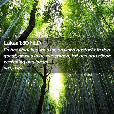 Picture 02 - Lukas 1:80 NLD - En het kindeken wies op, en werd gesterkt in den - Bible Verse Picture