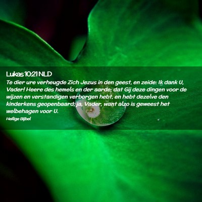 Picture 02 - Lukas 10:21 NLD - Te dier ure verheugde Zich Jezus in den geest, en - Bible Verse Picture