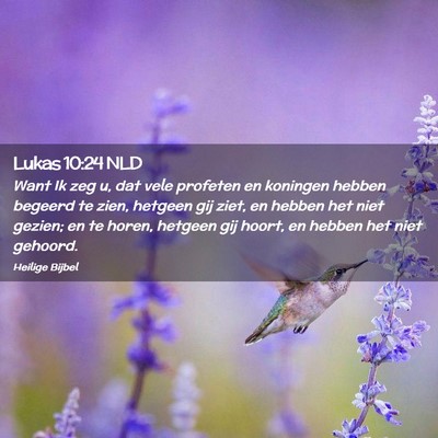 Picture 02 - Lukas 10:24 NLD - Want Ik zeg u, dat vele profeten en koningen - Bible Verse Picture
