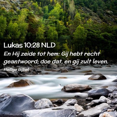 Picture 02 - Lukas 10:28 NLD - En Hij zeide tot hem: Gij hebt recht geantwoord; - Bible Verse Picture