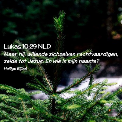 Picture 02 - Lukas 10:29 NLD - Maar hij, willende zichzelven rechtvaardigen, - Bible Verse Picture
