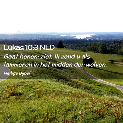 Picture 02 - Lukas 10:3 NLD - Gaat henen; ziet, Ik zend u als lammeren in het - Bible Verse Picture