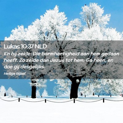 Picture 02 - Lukas 10:37 NLD - En hij zeide: Die barmhartigheid aan hem gedaan - Bible Verse Picture