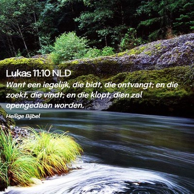 Picture 02 - Lukas 11:10 NLD - Want een iegelijk, die bidt, die ontvangt; en die - Bible Verse Picture