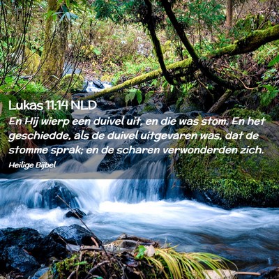 Picture 02 - Lukas 11:14 NLD - En Hij wierp een duivel uit, en die was stom. En - Bible Verse Picture