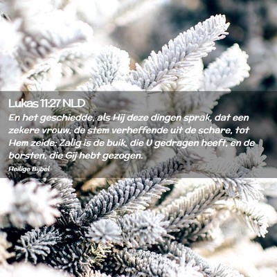 Picture 02 - Lukas 11:27 NLD - En het geschiedde, als Hij deze dingen sprak, dat - Bible Verse Picture