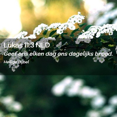 Picture 02 - Lukas 11:3 NLD - Geef ons elken dag ons dagelijks - Bible Verse Picture