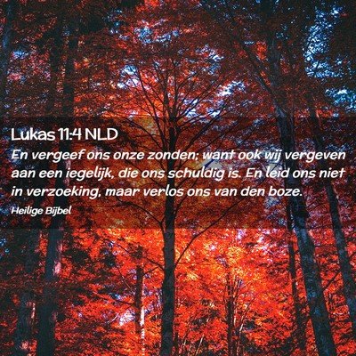 Picture 02 - Lukas 11:4 NLD - En vergeef ons onze zonden; want ook wij vergeven - Bible Verse Picture