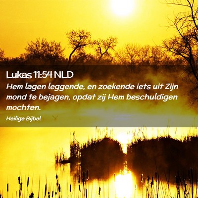 Picture 02 - Lukas 11:54 NLD - Hem lagen leggende, en zoekende iets uit Zijn - Bible Verse Picture