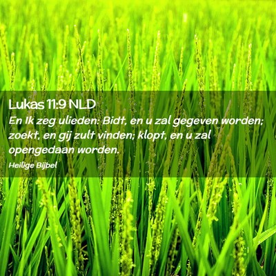 Picture 02 - Lukas 11:9 NLD - En Ik zeg ulieden: Bidt, en u zal gegeven worden; - Bible Verse Picture