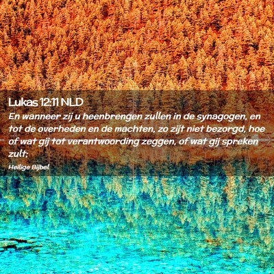 Picture 02 - Lukas 12:11 NLD - En wanneer zij u heenbrengen zullen in de - Bible Verse Picture
