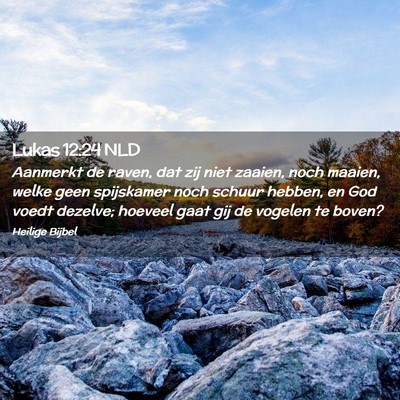 Picture 02 - Lukas 12:24 NLD - Aanmerkt de raven, dat zij niet zaaien, noch - Bible Verse Picture