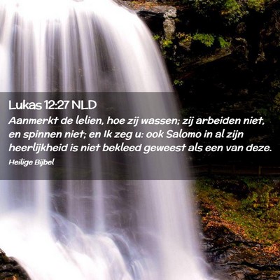 Picture 02 - Lukas 12:27 NLD - Aanmerkt de lelien, hoe zij wassen; zij arbeiden - Bible Verse Picture