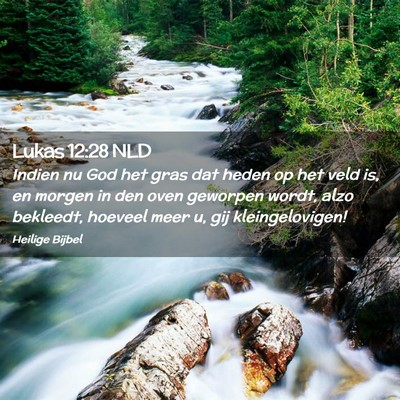 Picture 02 - Lukas 12:28 NLD - Indien nu God het gras dat heden op het veld is, - Bible Verse Picture