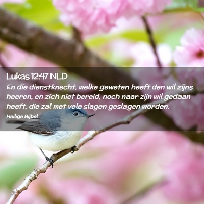 Picture 02 - Lukas 12:47 NLD - En die dienstknecht, welke geweten heeft den wil - Bible Verse Picture