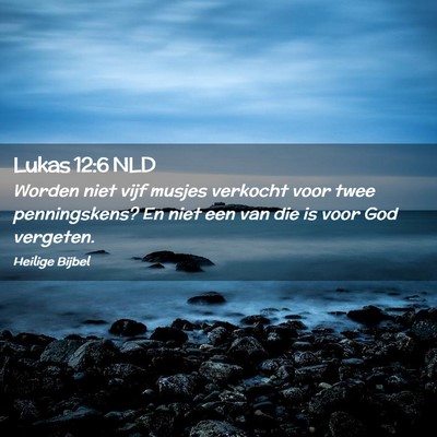Picture 02 - Lukas 12:6 NLD - Worden niet vijf musjes verkocht voor twee - Bible Verse Picture