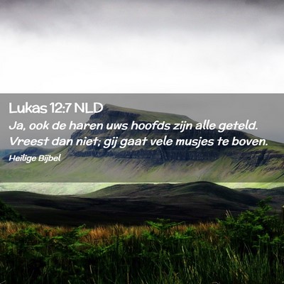 Picture 02 - Lukas 12:7 NLD - Ja, ook de haren uws hoofds zijn alle geteld. - Bible Verse Picture
