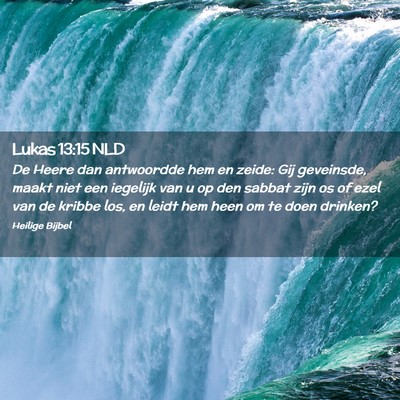 Picture 02 - Lukas 13:15 NLD - De Heere dan antwoordde hem en zeide: Gij - Bible Verse Picture