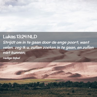 Picture 02 - Lukas 13:24 NLD - Strijdt om in te gaan door de enge poort; want - Bible Verse Picture