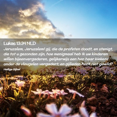 Picture 02 - Lukas 13:34 NLD - Jeruzalem, Jeruzalem! gij, die de profeten doodt, - Bible Verse Picture