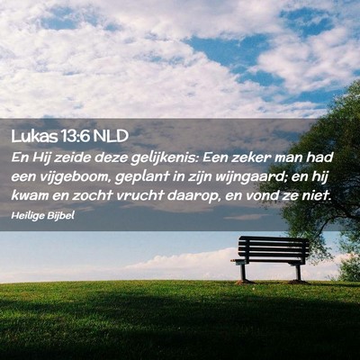 Picture 02 - Lukas 13:6 NLD - En Hij zeide deze gelijkenis: Een zeker man had - Bible Verse Picture