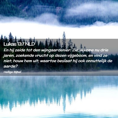 Picture 02 - Lukas 13:7 NLD - En hij zeide tot den wijngaardenier: Zie, ik kome - Bible Verse Picture