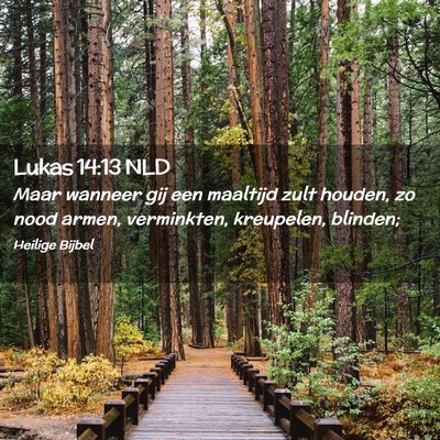 Picture 02 - Lukas 14:13 NLD - Maar wanneer gij een maaltijd zult houden, zo - Bible Verse Picture