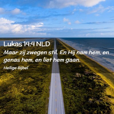 Picture 02 - Lukas 14:4 NLD - Maar zij zwegen stil. En Hij nam hem, en genas - Bible Verse Picture
