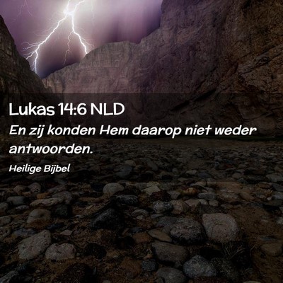 Picture 02 - Lukas 14:6 NLD - En zij konden Hem daarop niet weder - Bible Verse Picture