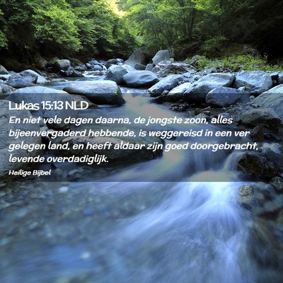 Picture 02 - Lukas 15:13 NLD - En niet vele dagen daarna, de jongste zoon, alles - Bible Verse Picture