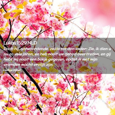 Picture 02 - Lukas 15:29 NLD - Doch hij, antwoordende, zeide tot den vader: Zie, - Bible Verse Picture